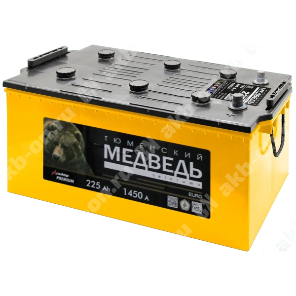 Аккумулятор автомобильный 12В 225Ач Тюменский Медведь обратной полярности  (1450 А)